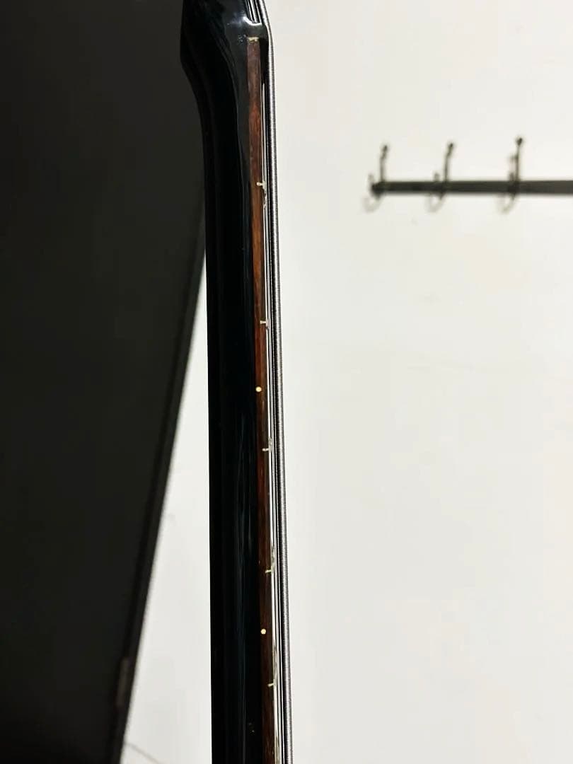 Ibanez RoadstarⅡ - RB830