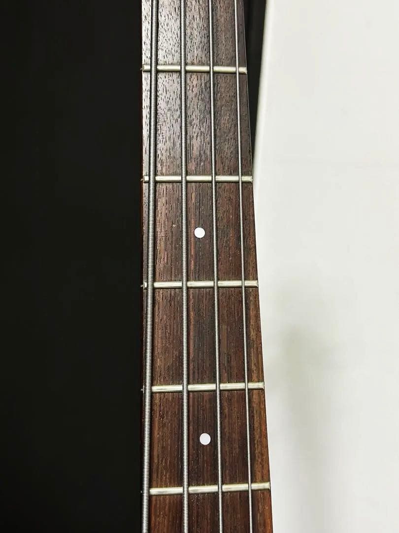 Ibanez RoadstarⅡ - RB830