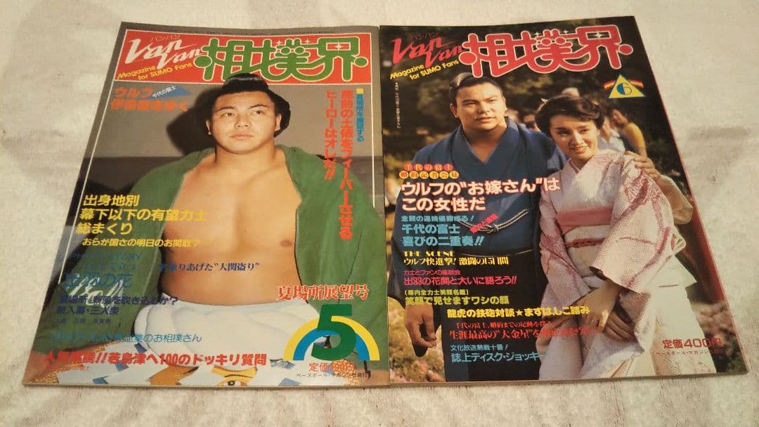 VANVAN相撲界 27冊セット まとめ売り 美品 希少 大相撲 昭和