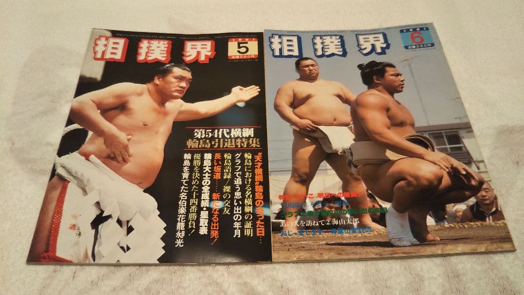 VANVAN相撲界 27冊セット まとめ売り 美品 希少 大相撲 昭和