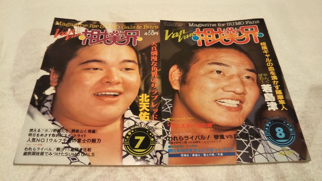 VANVAN相撲界 27冊セット まとめ売り 美品 希少 大相撲 昭和