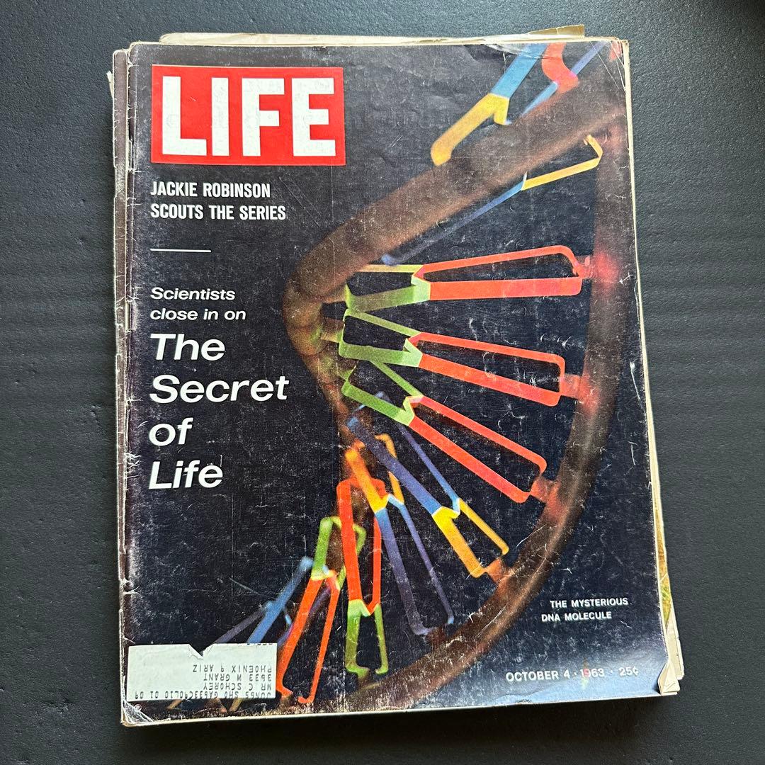 LIFE Magazine (1960年代の号)5冊セット