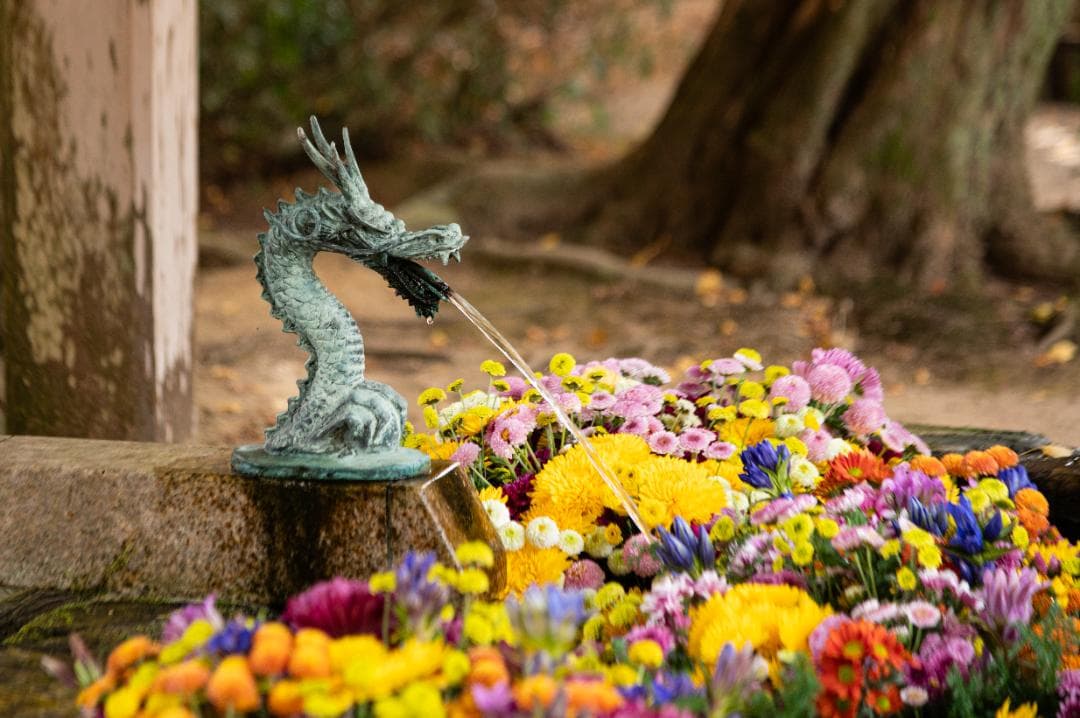 Nikon Z6 ボディ