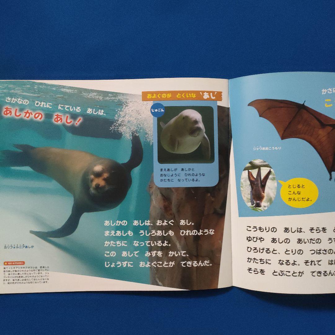 ビッグサイエンス　キンダーブックしぜん　どうぶつのからだ　あし　かお　もよう