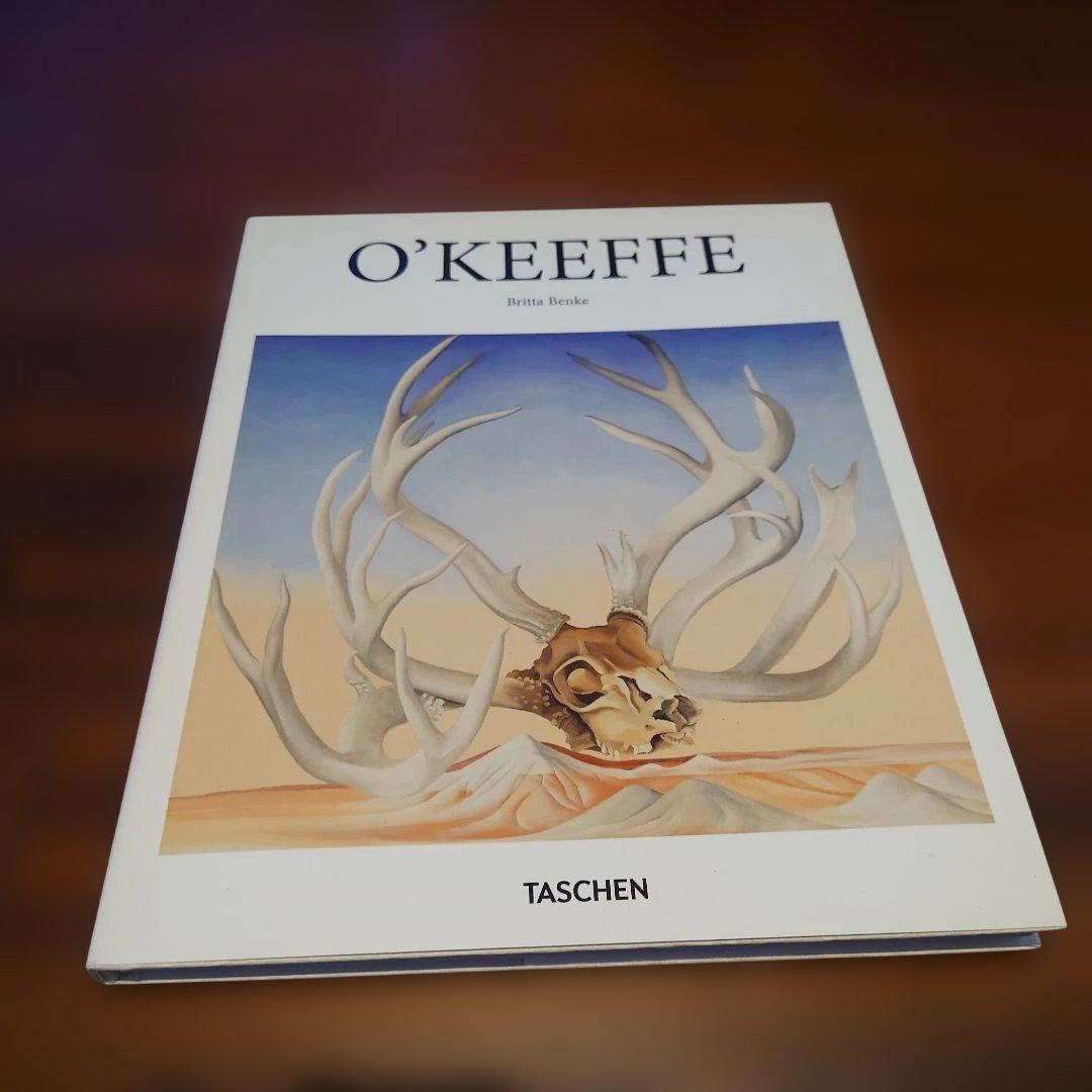 【4冊セット】TASCHEN ベーシックアートシリーズ（ザハ・ハディド他）