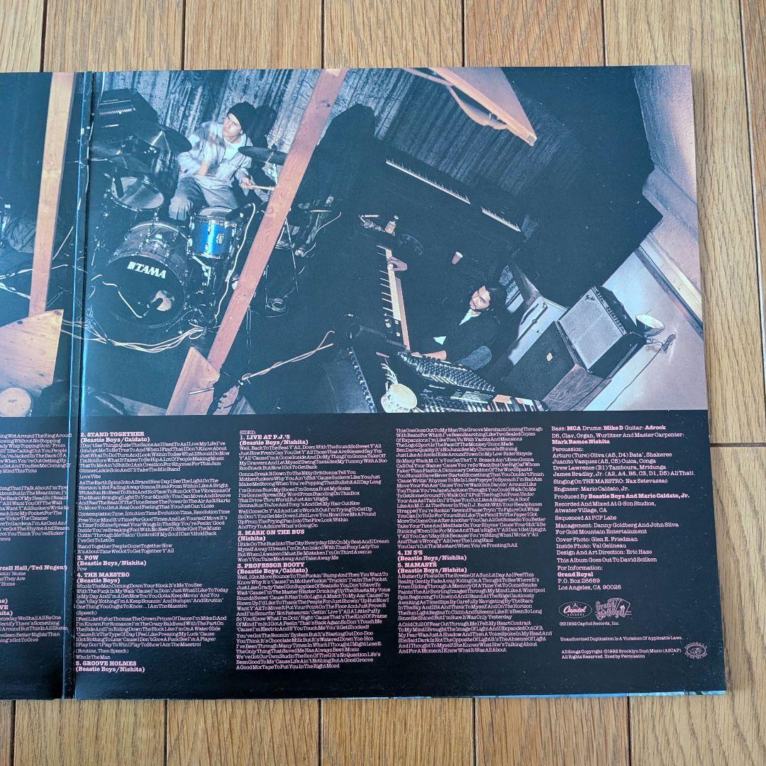 ビースティーボーイズ / Check Your Head,Scientists〜