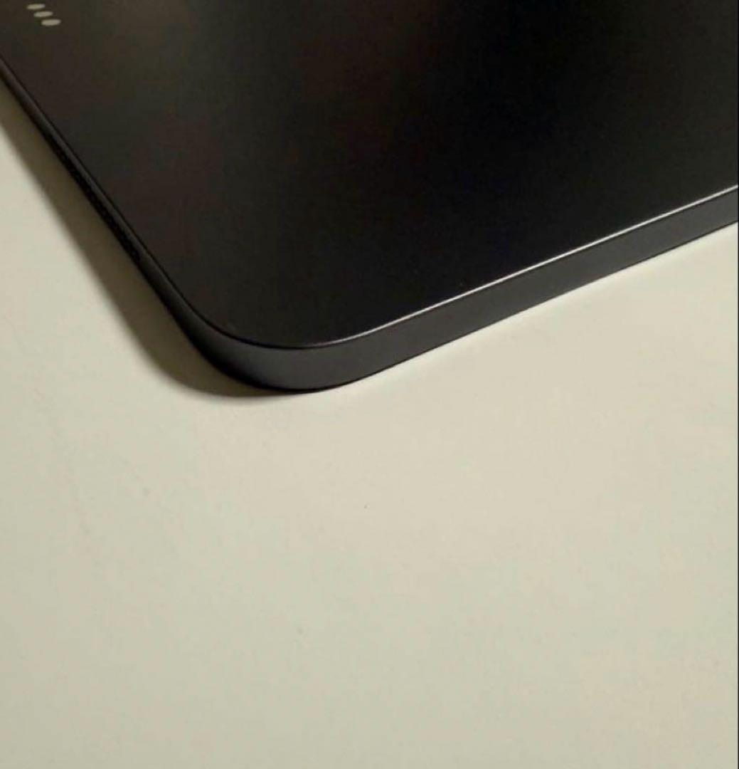 iPad Pro 12.9インチ 第4世代 スペースグレイ　256GB【美品】