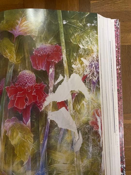 ワイド版 現代日本の花鳥画 1〜4  全4巻