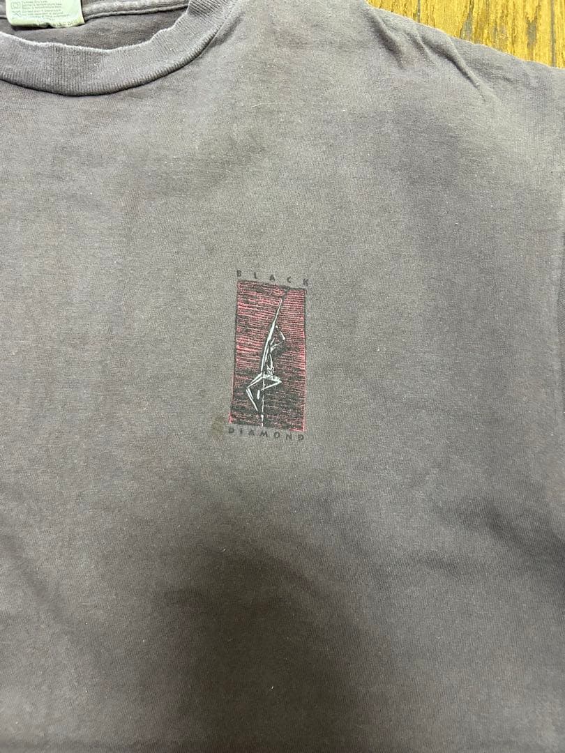 レア  90年代 Patagonia Tシャツ XL