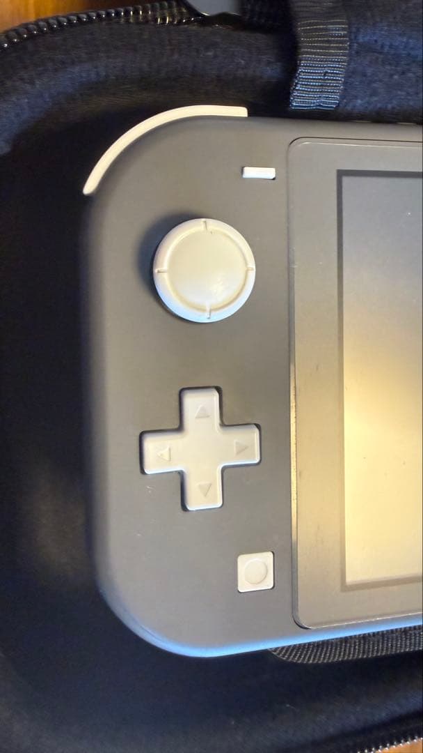 Nintendo Switch Lite 本体　マイクロSD64GB付き