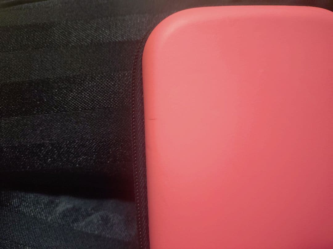 ニンテンドースイッチライト　専用ケースつき