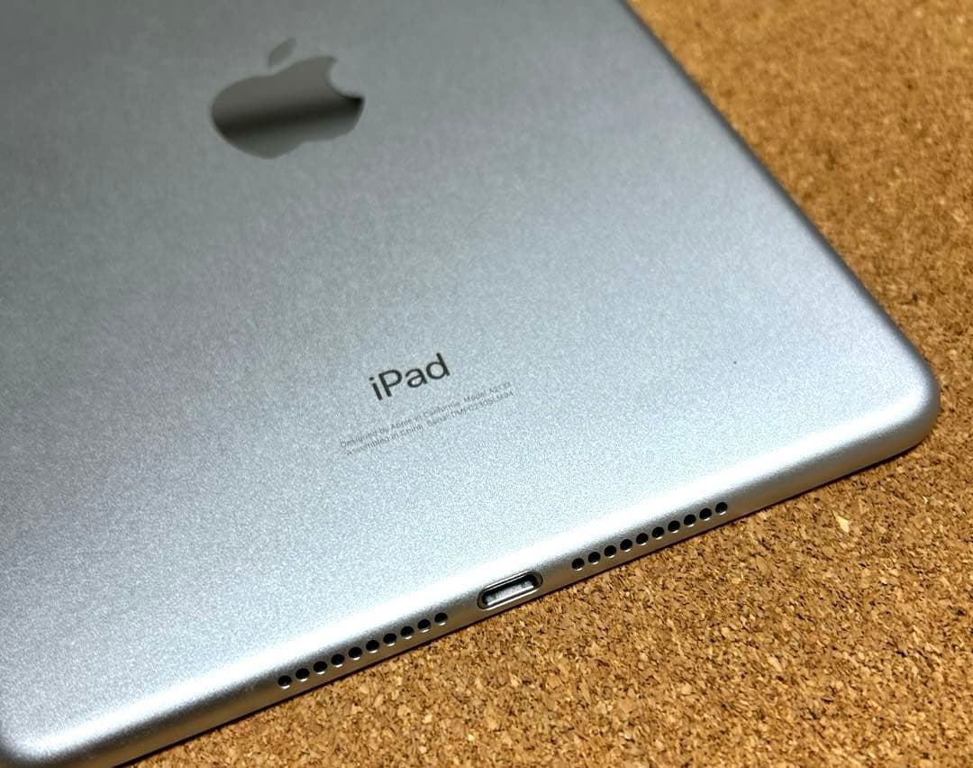 iPad mini5 第5世代 64GB (40) 91%