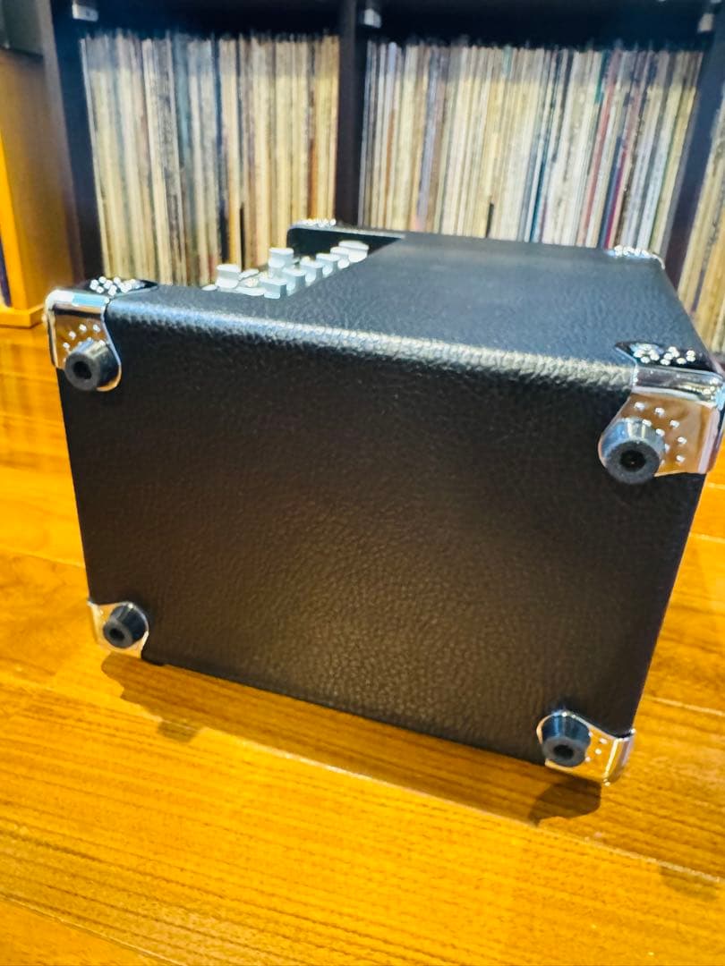 Phil Jones Bass Cub Pro BG-120 キャリングバッグ付