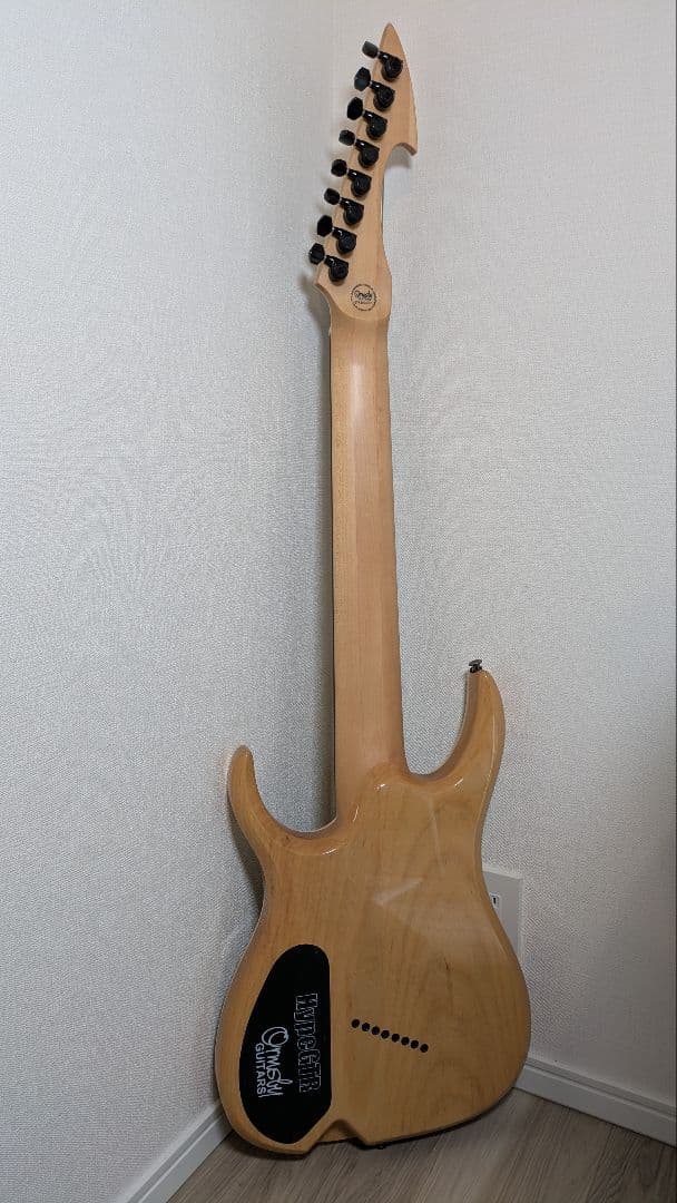 【ぎんぱち】Ormsby Hype GTR 8 8弦ギター マルチスケール