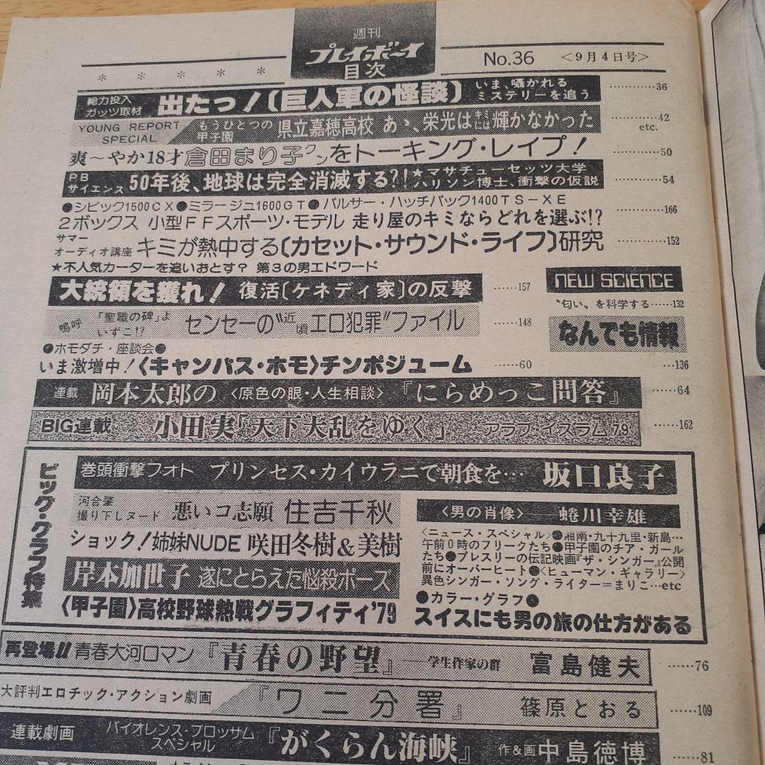週刊プレイボーイ 9冊セット
