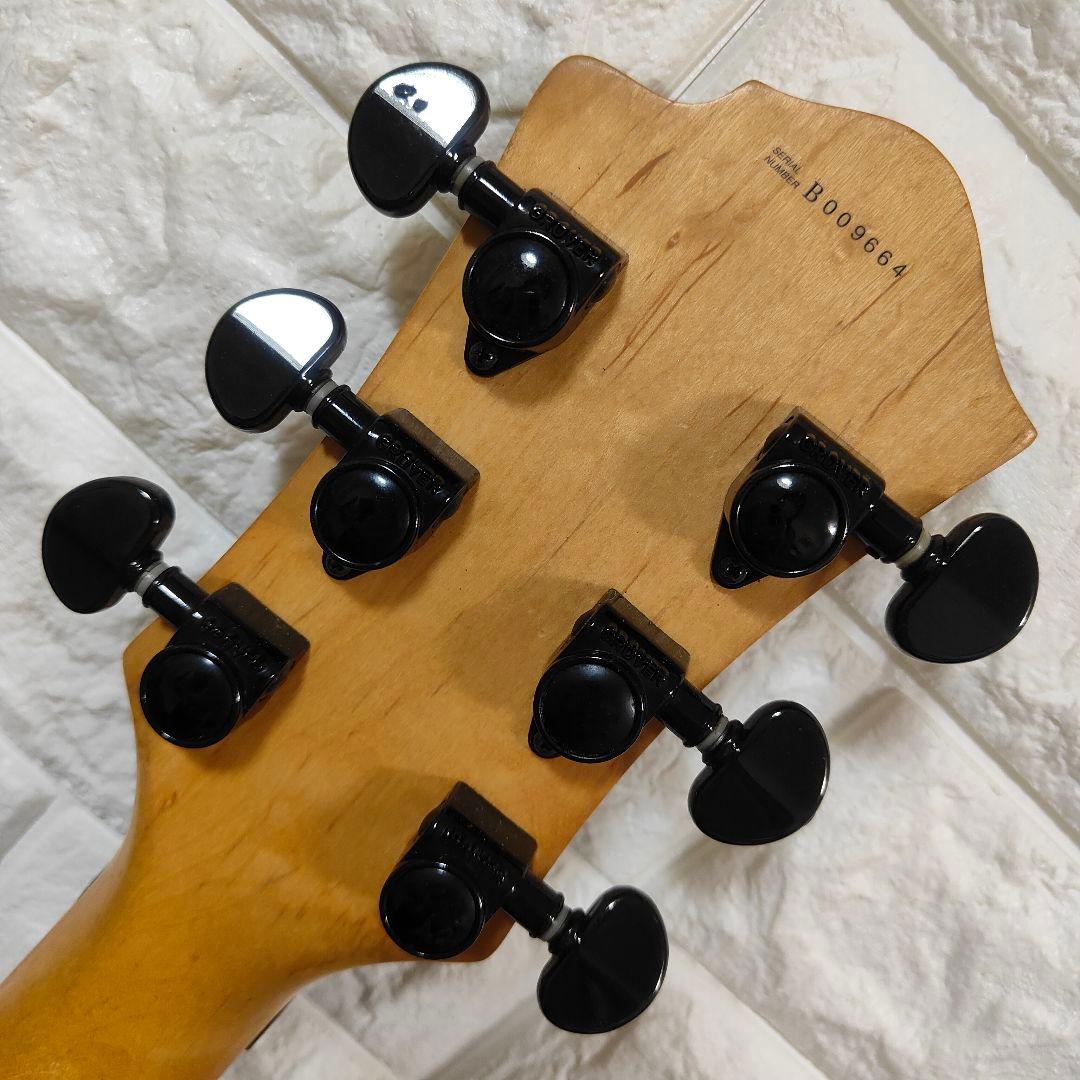 【希少】B.C.Rich モッキンバード NJシリーズ 雲インレイ Grover