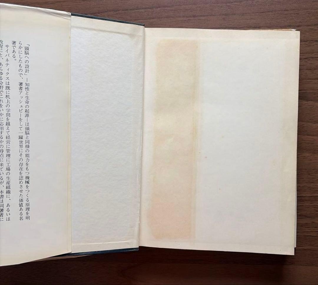 DESIGN FOR A BRAIN (頭脳への設計) 希少本