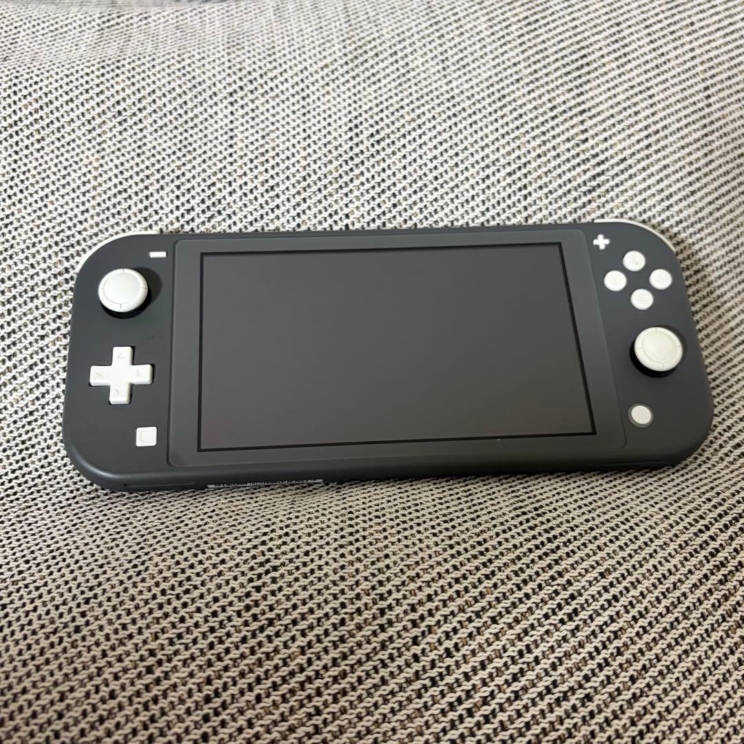 【doorzo様】Nintendo Switch Lite グレー 充電器付き
