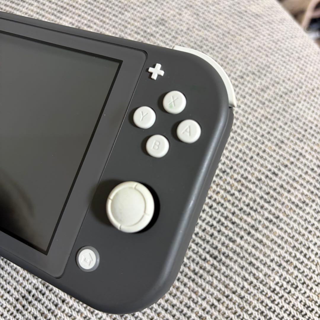 【doorzo様】Nintendo Switch Lite グレー 充電器付き