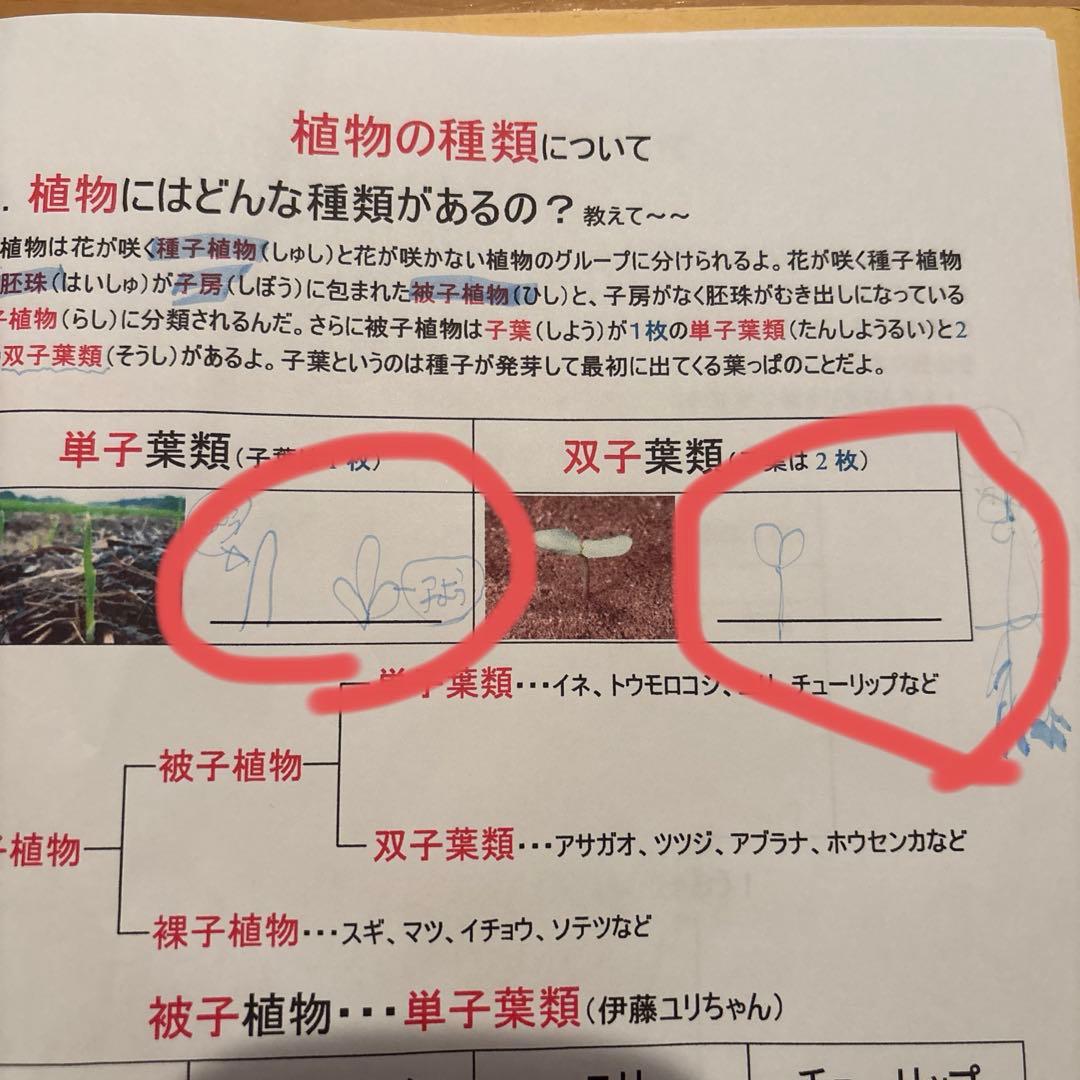 サントップ　ゼロからはじめる学習テキスト DVDセット