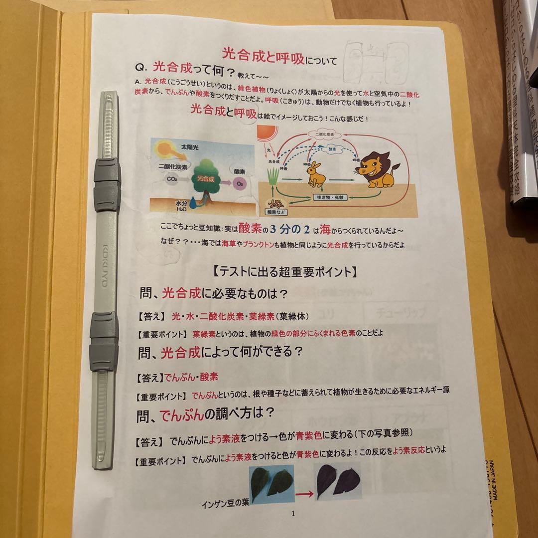 サントップ　ゼロからはじめる学習テキスト DVDセット