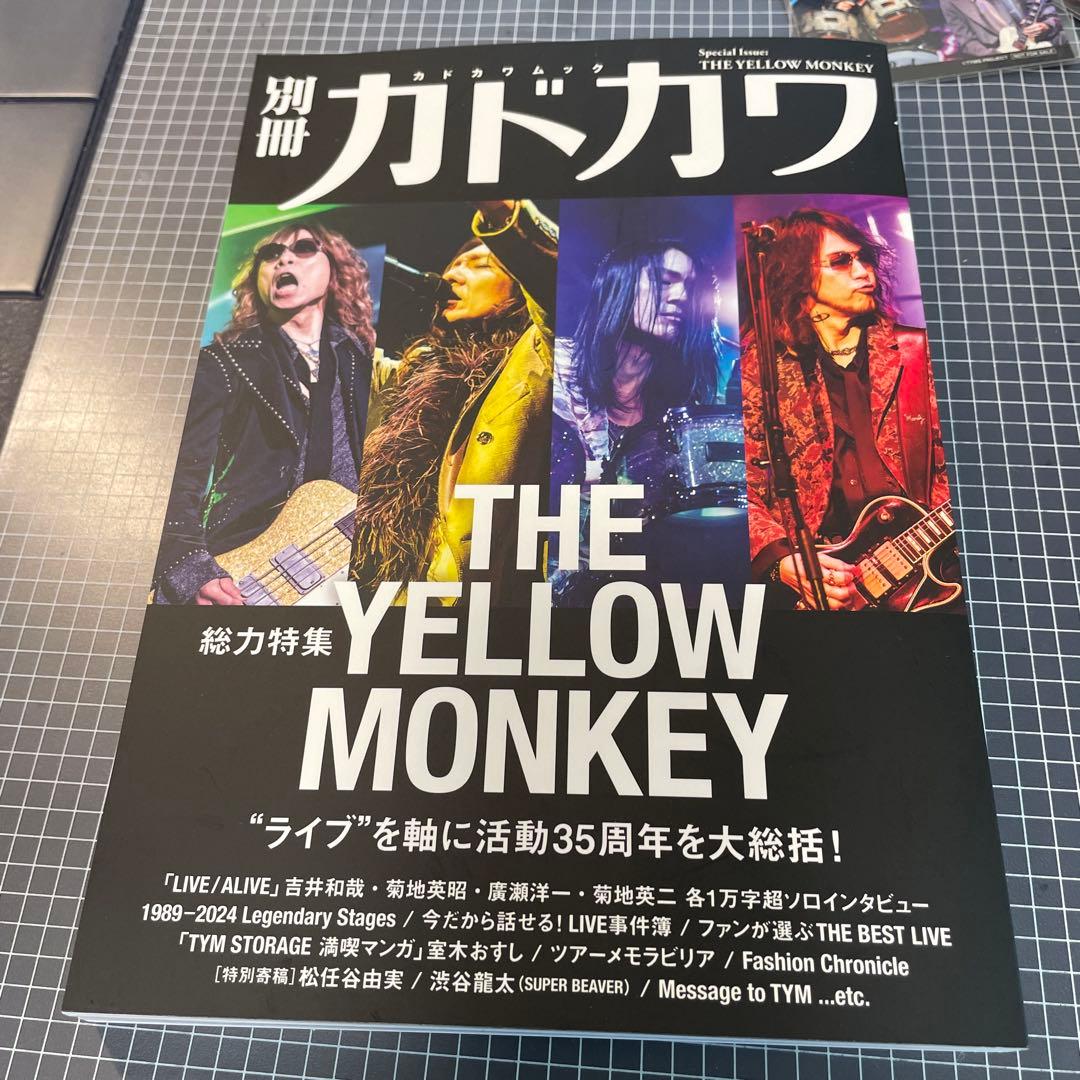 THE YELLOW MONKEY / CAT CITY FC&初回限定盤セット