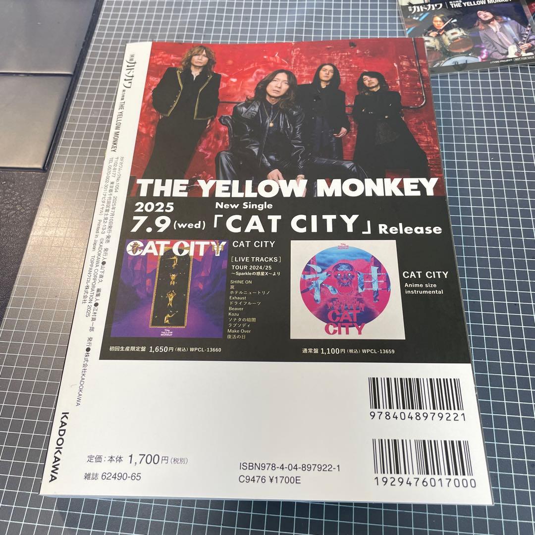 THE YELLOW MONKEY / CAT CITY FC&初回限定盤セット