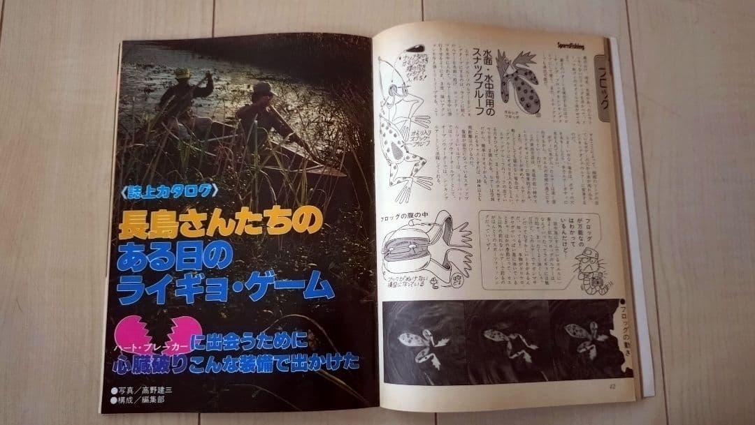 【送料無料】美品　ライギョゲームの楽しみ方