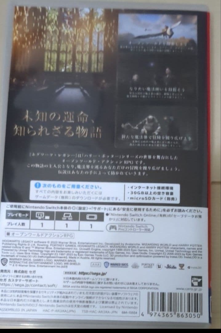Hogwarts Legacy (ホグワーツ・レガシー)