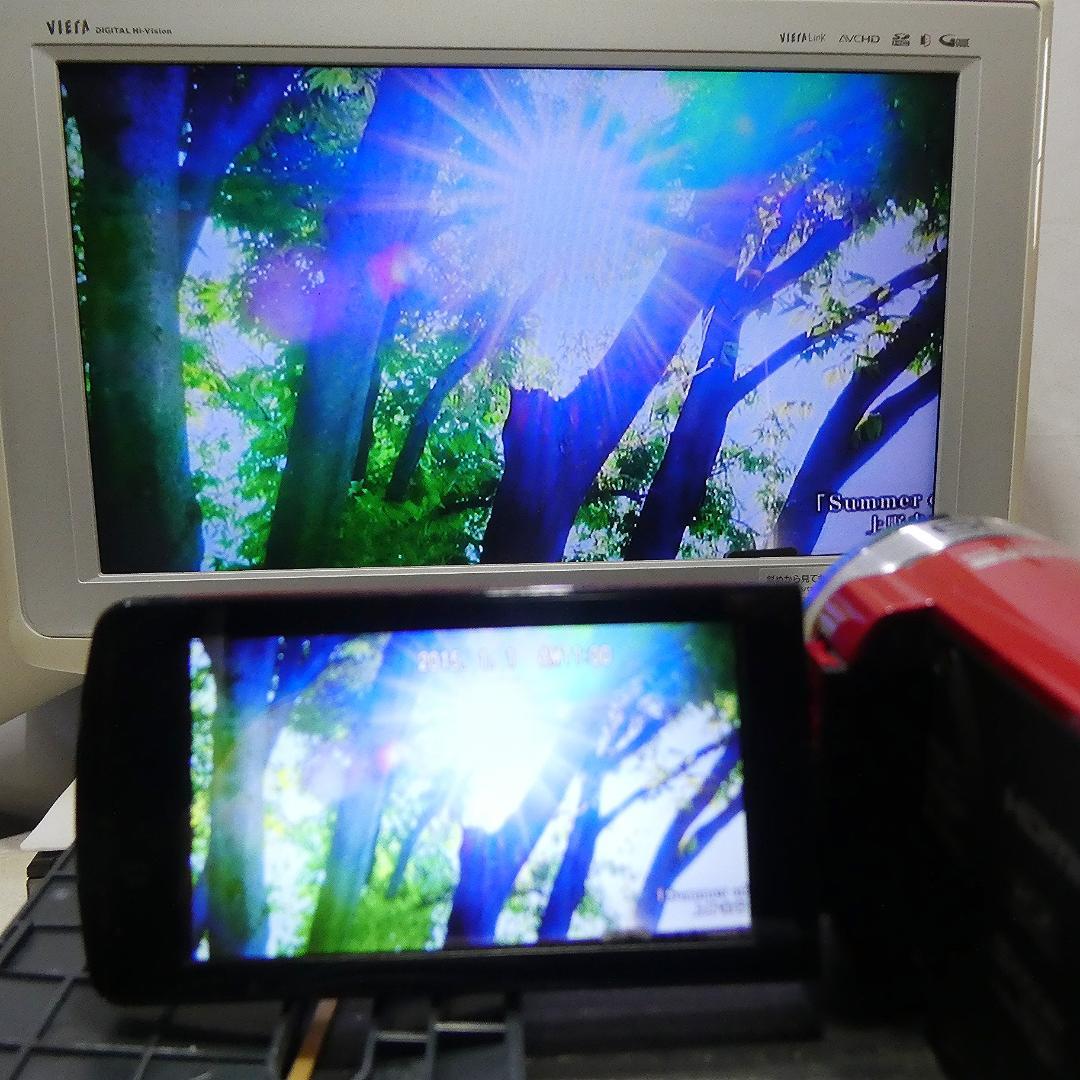 JVC Everio GZ-E750-R 動作良好HDD/SD ビデオカメラ