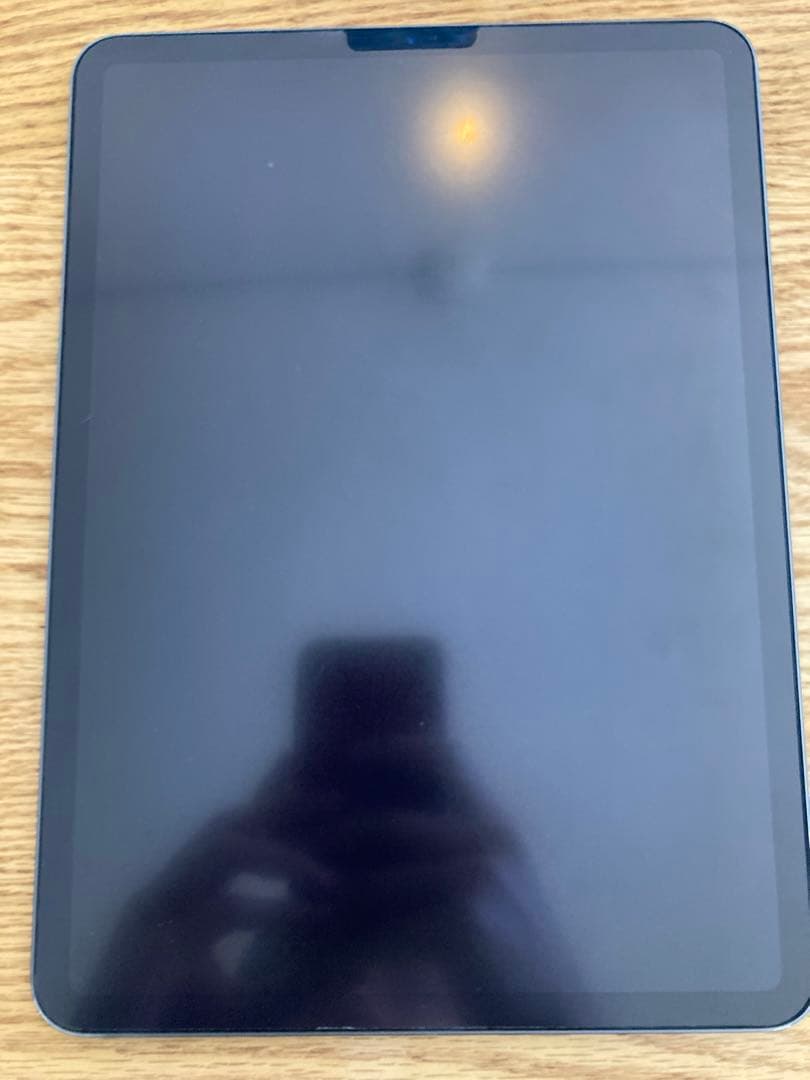 iPad Pro 11インチ (第2世代) 256GB