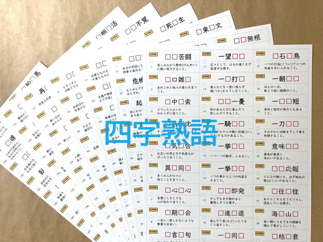 NEW☆カット済【中学受験】国語 知識編 暗記カード/練習帳・演習問題 7点 g