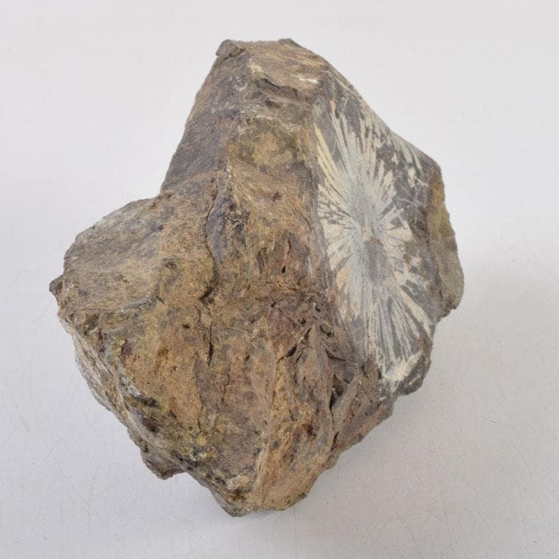 eyeknow74　鑑賞石　菊花石　置物　重さ約807g　N　8803