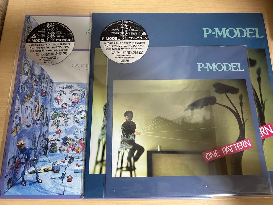 平沢進　P-MODEL KARKADOR ONE PATTERN レコード