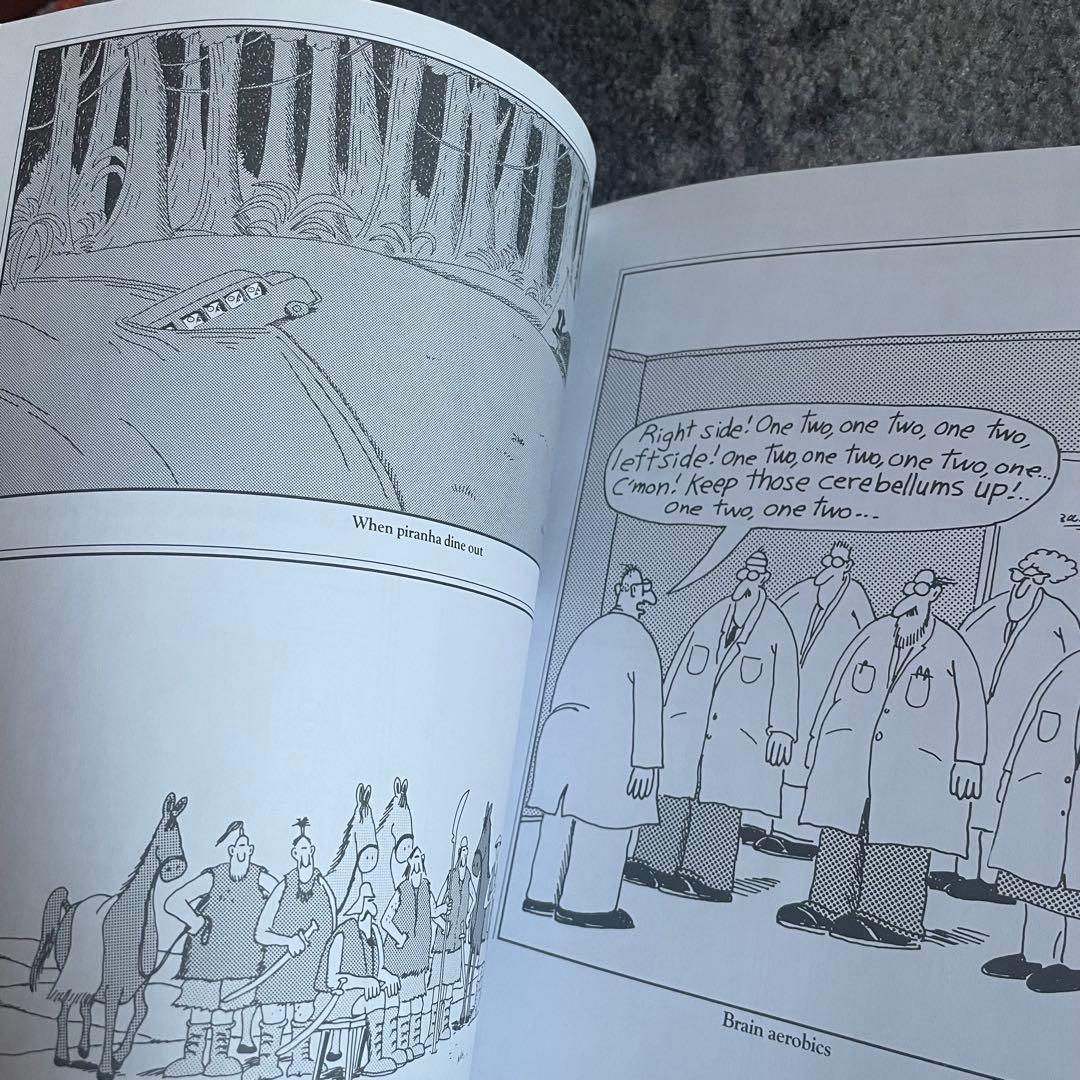 Gary Larson ゲイリーラーソン 洋書 アート 80年代 90年代