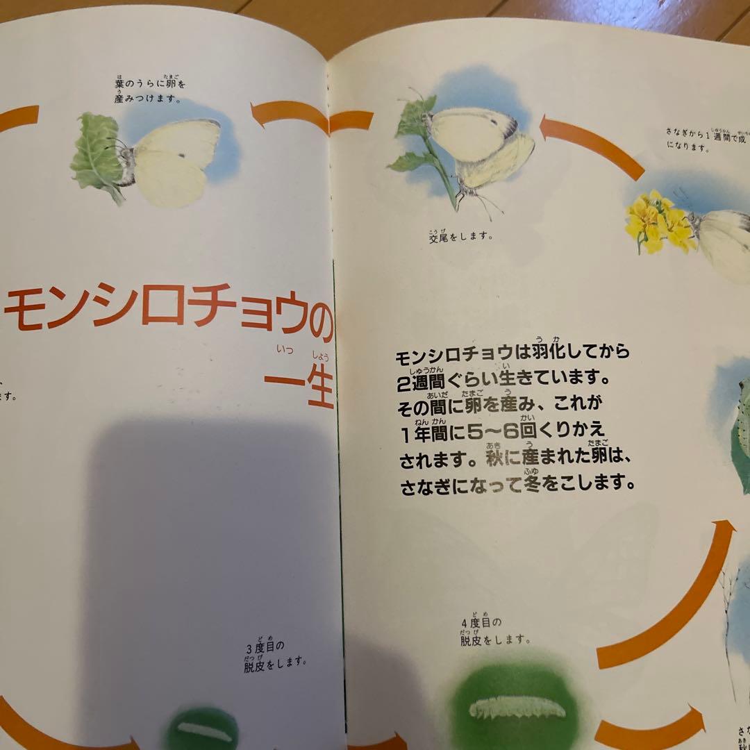 【レア】ニュートンジュニアブックス全20巻