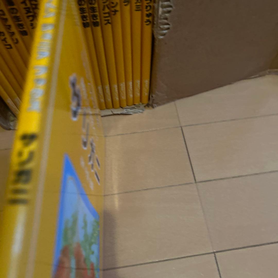 【レア】ニュートンジュニアブックス全20巻