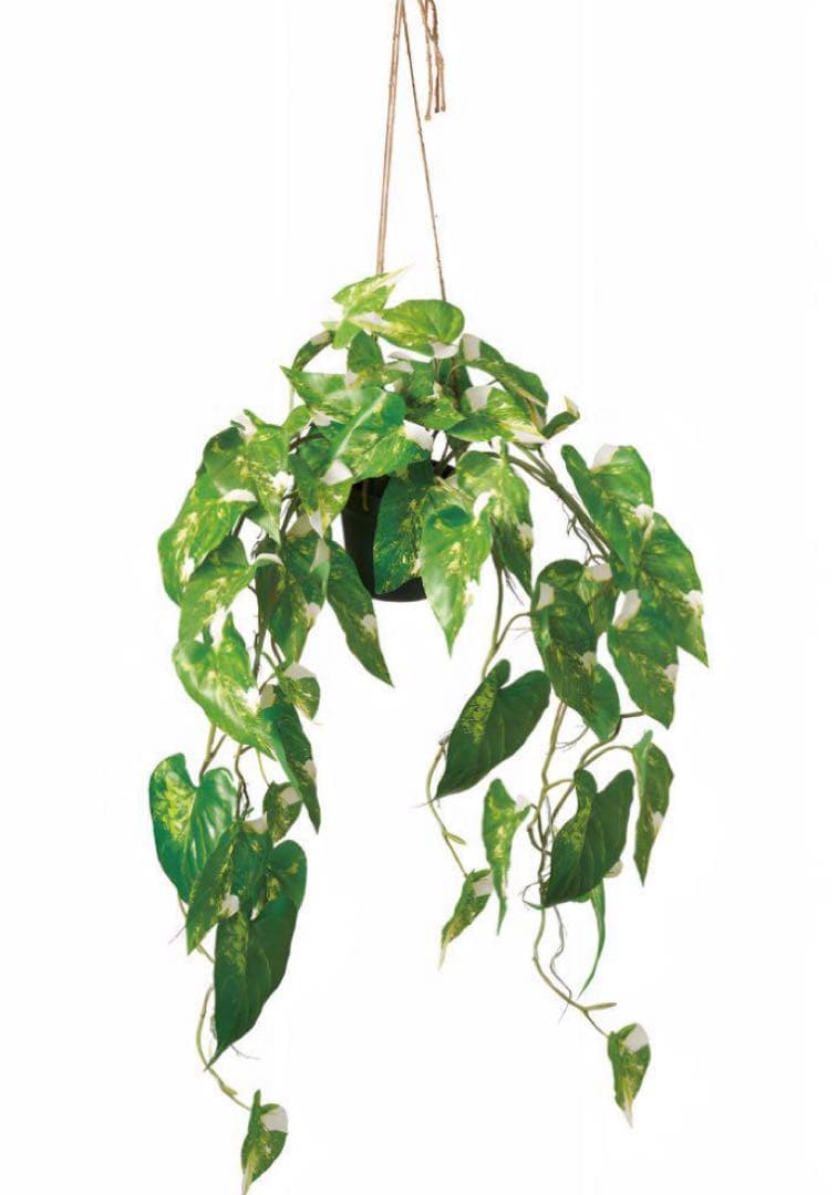 光触媒　人工観葉植物　ウォールグリーン　フェイクグリーン　フィロデンドロン