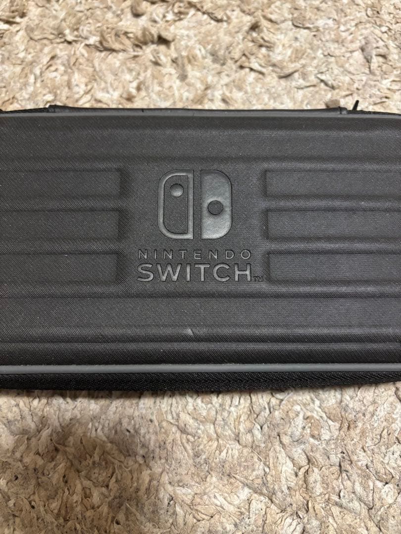 【ケース・充電器付き】Nintendo Switch Lite ターコイズ 本体