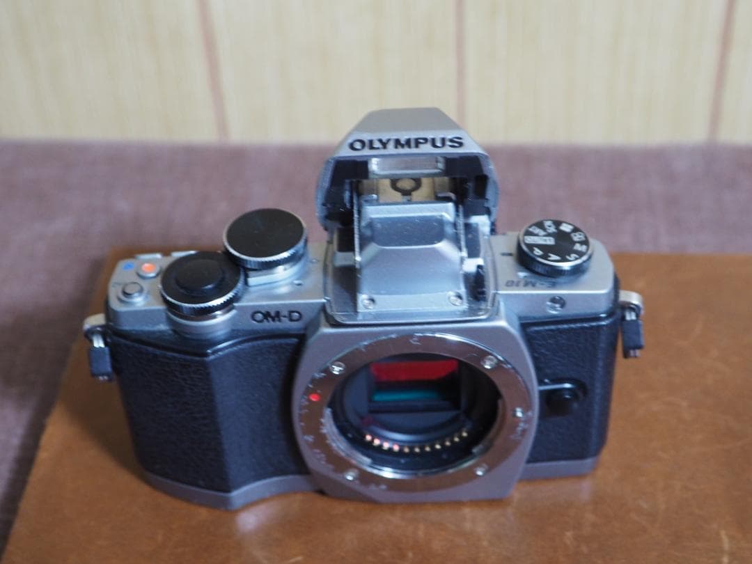 ロ*ル様 【ジャンク・部品取り用】オリンパス　OM-D　E10 ボディのみ