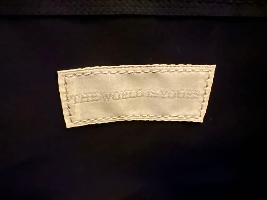 THE WORLD IS YOURS PAISLY バーキン　BAG バッグ