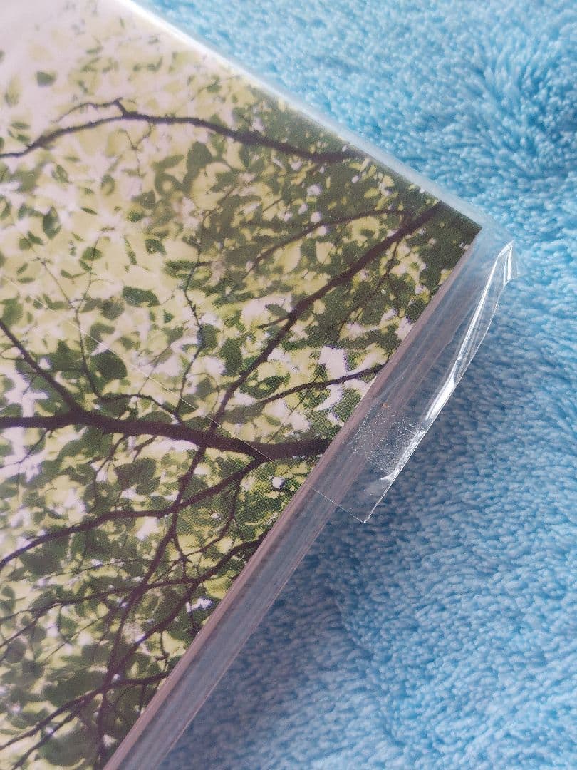 2PM JUNHO Sunshine Photo Book ジュノ