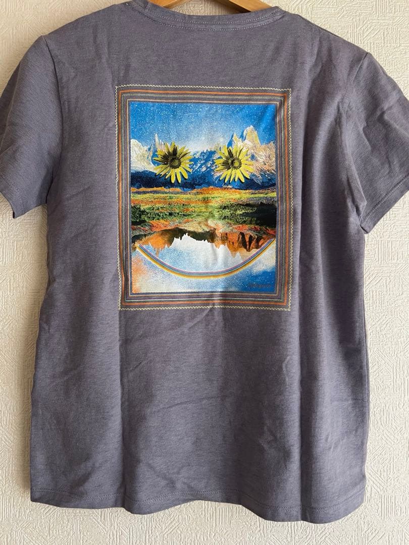 PATAGONIA パタゴニア WOMENS T-SHIRT