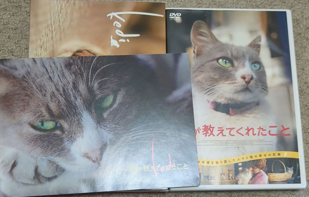 猫が教えてくれたこと('16トルコ)DVD