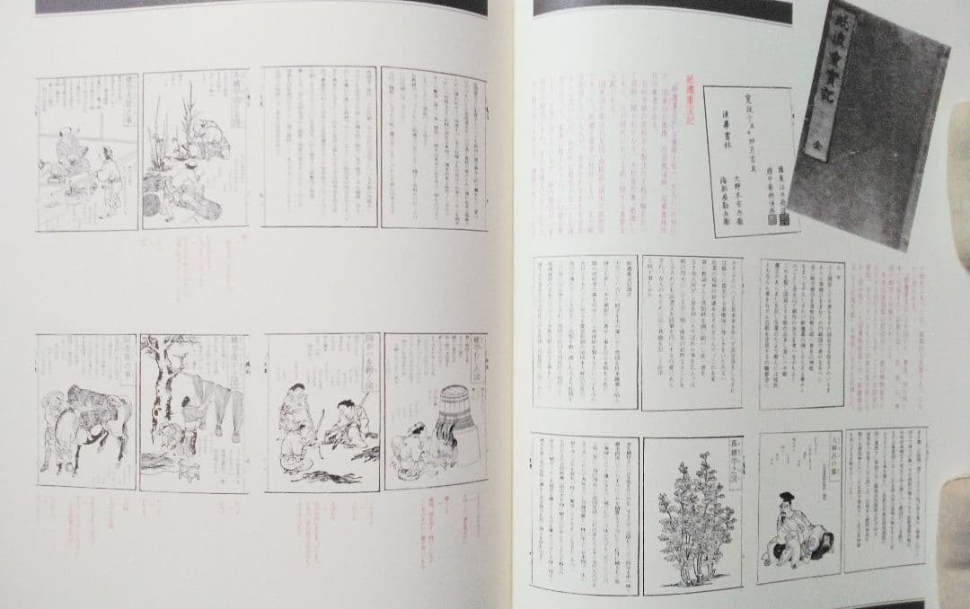 紙【日本の紙】日本の紙漉き・白和紙・色和紙・手仕事