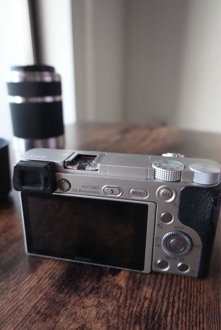 SONY α6000