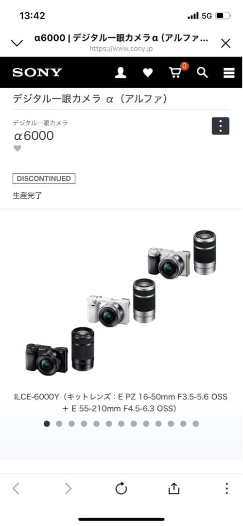 SONY α6000