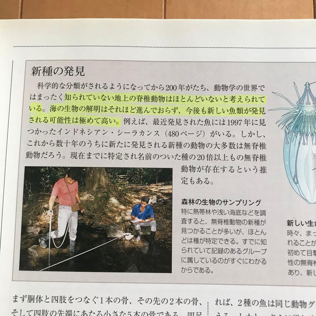 世界動物大図鑑