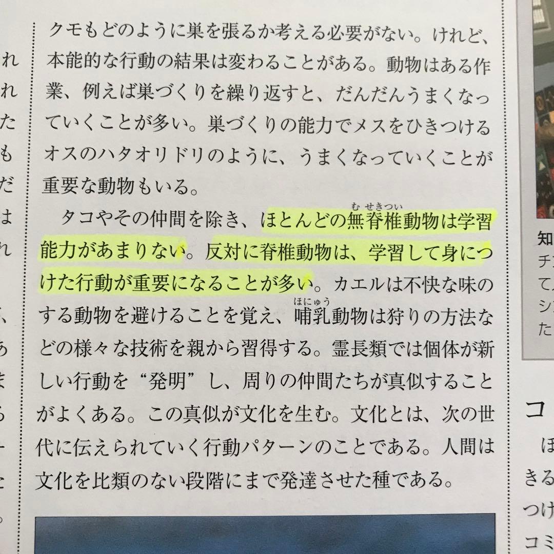 世界動物大図鑑