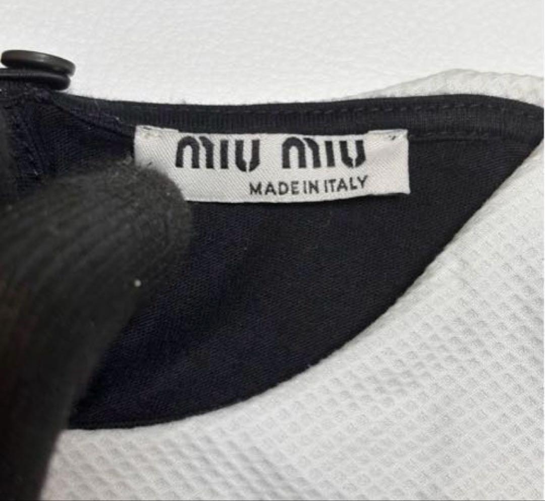 miu miu ミュウミュウ ジャージーTシャツ 襟付き
